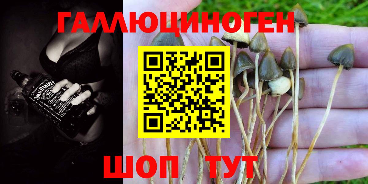 Псилоцибиновые грибы Psilocybine cubensis  Вход с VPN  Галлюциногенные грибы Magic Shrooms  Полысаево 